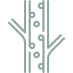 Icon Gefäßmedizin